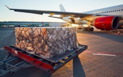 Jasa Cargo Port to Port CGK ke Supadio PNK