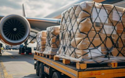 Apa yang Harus Dilakukan Saat Cargo Tertahan di Bandara?